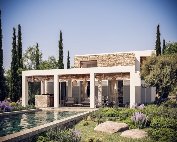 Discover The Extraordinary